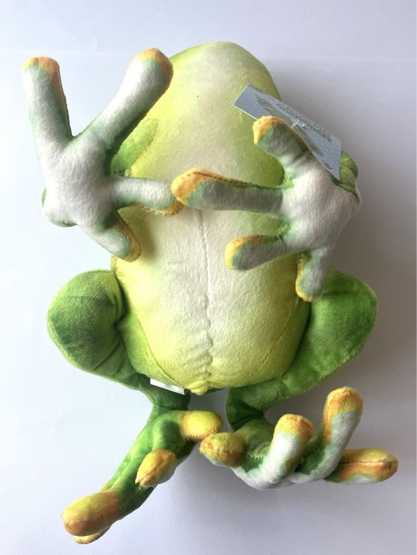 カエルのぬいぐるみ12体セットリアルカエル 71+CLitppCL._UF350,350_QL50_.jpg